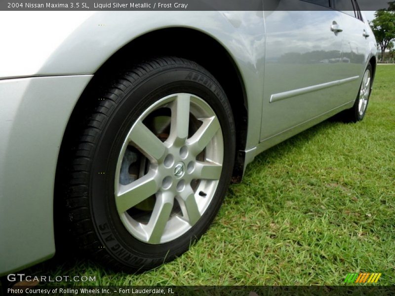 Liquid Silver Metallic / Frost Gray 2004 Nissan Maxima 3.5 SL