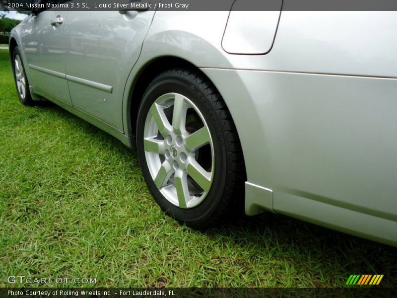 Liquid Silver Metallic / Frost Gray 2004 Nissan Maxima 3.5 SL