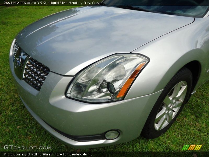 Liquid Silver Metallic / Frost Gray 2004 Nissan Maxima 3.5 SL