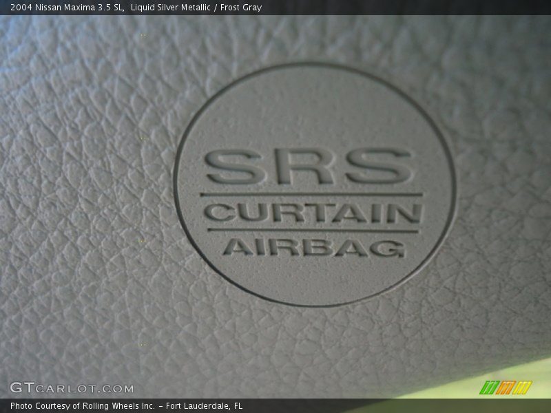 Liquid Silver Metallic / Frost Gray 2004 Nissan Maxima 3.5 SL