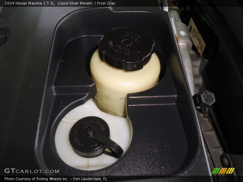 Liquid Silver Metallic / Frost Gray 2004 Nissan Maxima 3.5 SL