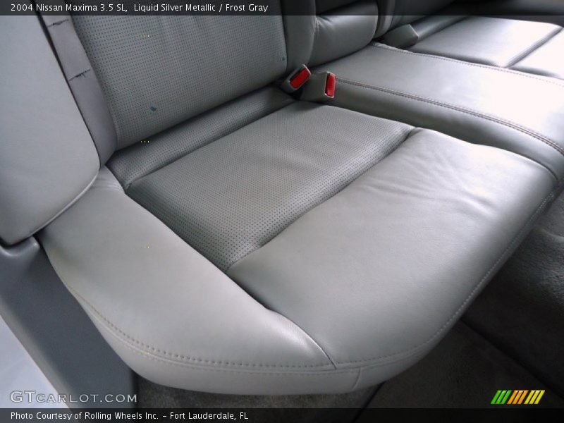 Liquid Silver Metallic / Frost Gray 2004 Nissan Maxima 3.5 SL