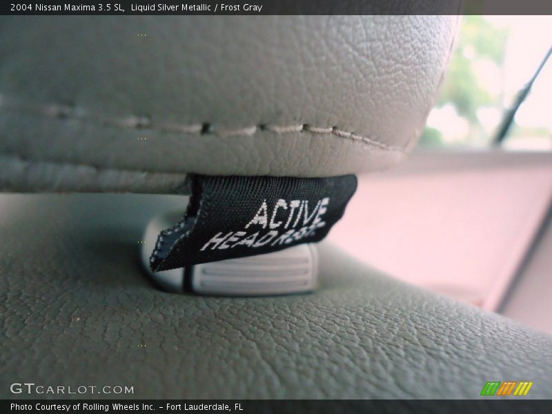 Liquid Silver Metallic / Frost Gray 2004 Nissan Maxima 3.5 SL