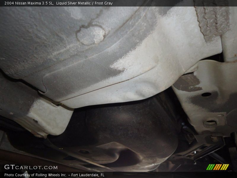 Liquid Silver Metallic / Frost Gray 2004 Nissan Maxima 3.5 SL