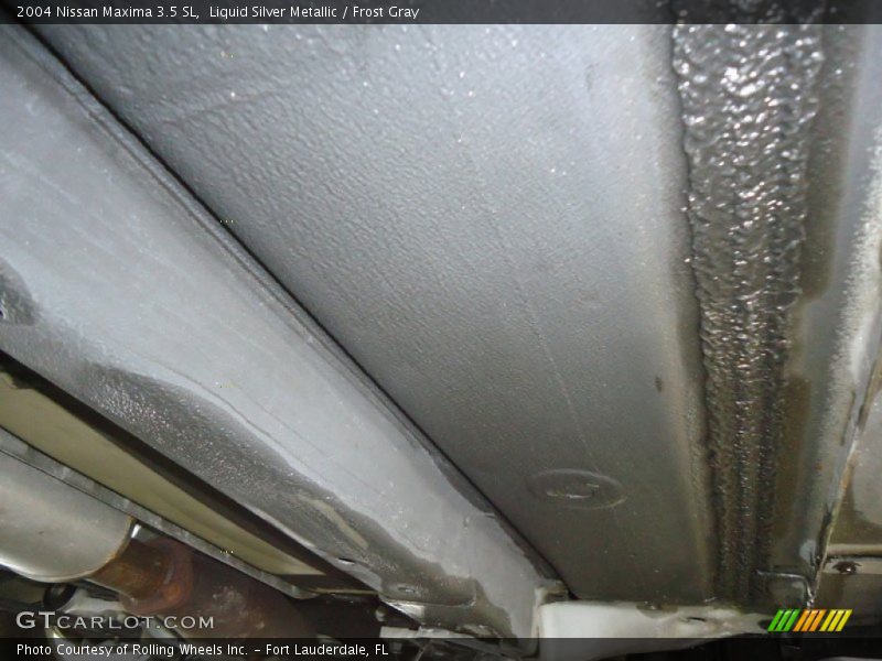 Liquid Silver Metallic / Frost Gray 2004 Nissan Maxima 3.5 SL