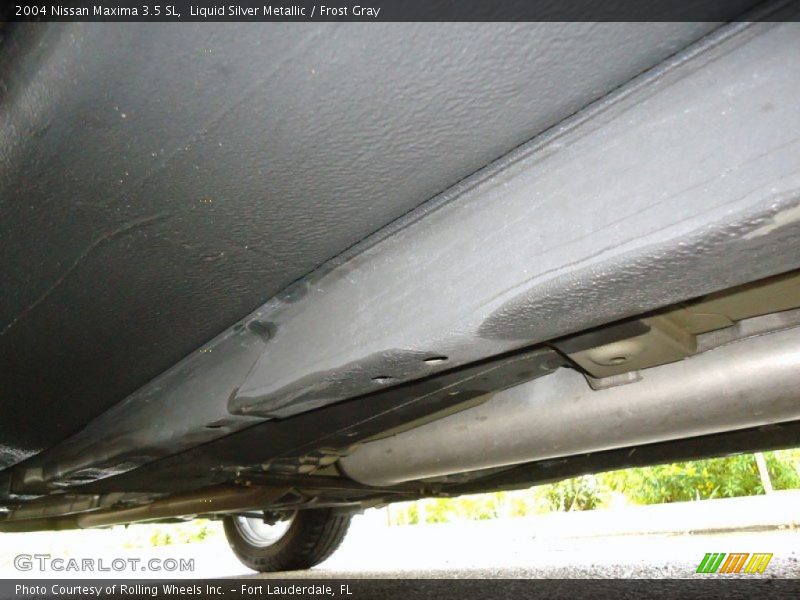 Liquid Silver Metallic / Frost Gray 2004 Nissan Maxima 3.5 SL