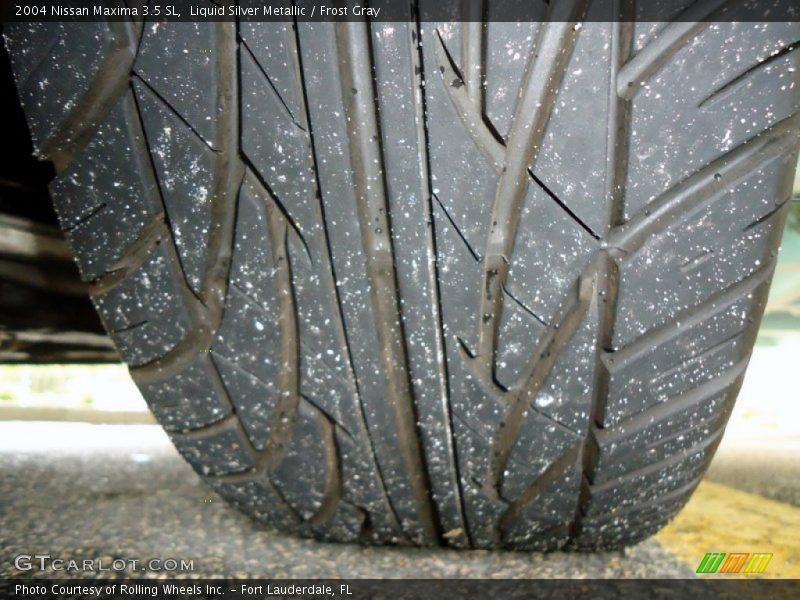 Liquid Silver Metallic / Frost Gray 2004 Nissan Maxima 3.5 SL