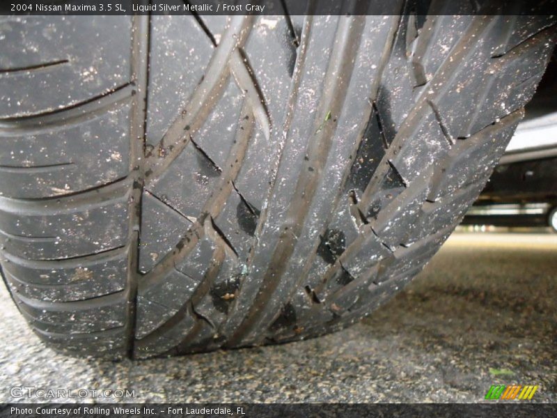 Liquid Silver Metallic / Frost Gray 2004 Nissan Maxima 3.5 SL