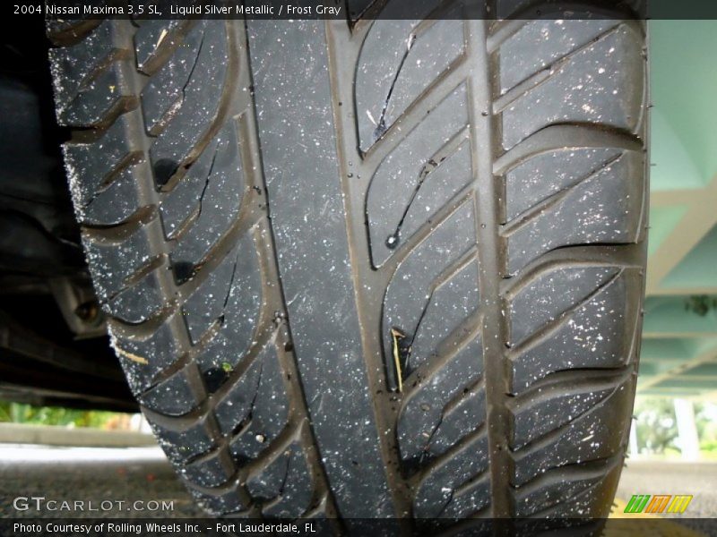 Liquid Silver Metallic / Frost Gray 2004 Nissan Maxima 3.5 SL
