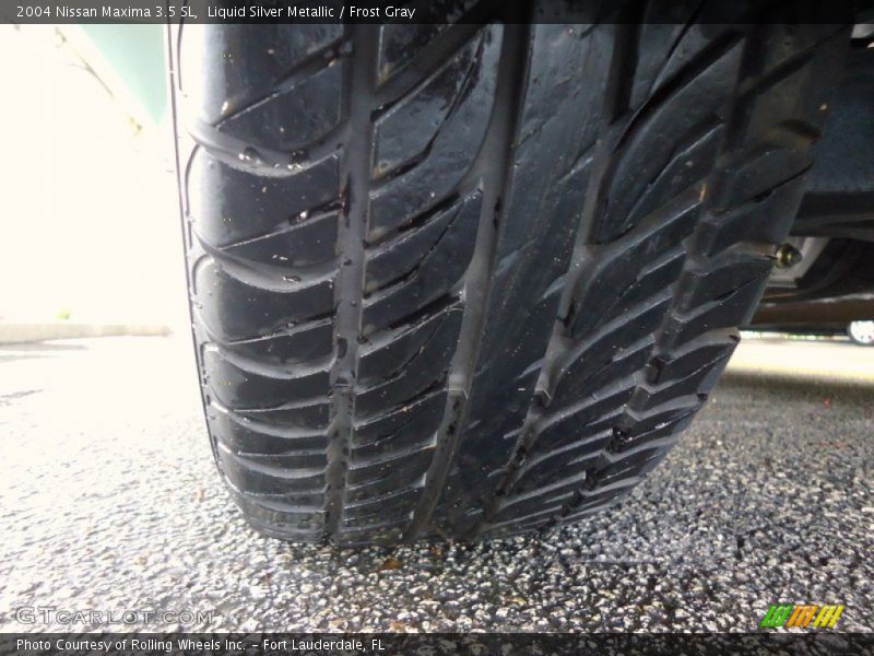 Liquid Silver Metallic / Frost Gray 2004 Nissan Maxima 3.5 SL