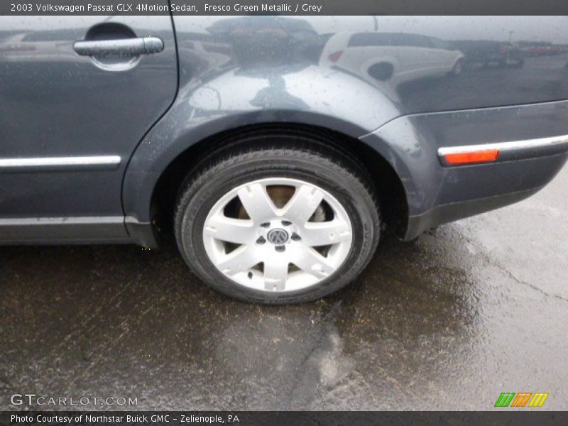 Fresco Green Metallic / Grey 2003 Volkswagen Passat GLX 4Motion Sedan