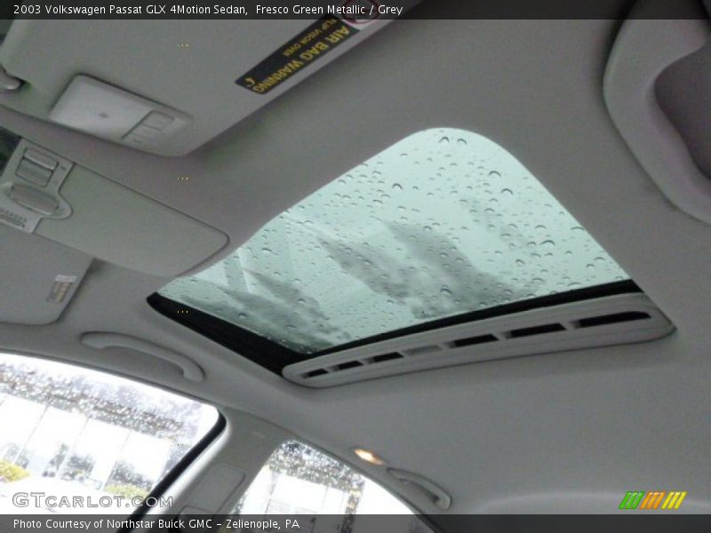 Fresco Green Metallic / Grey 2003 Volkswagen Passat GLX 4Motion Sedan