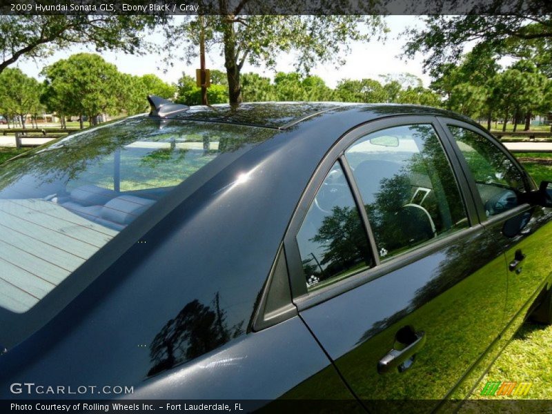 Ebony Black / Gray 2009 Hyundai Sonata GLS