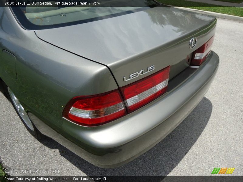 Antique Sage Pearl / Ivory 2000 Lexus ES 300 Sedan