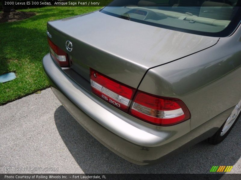 Antique Sage Pearl / Ivory 2000 Lexus ES 300 Sedan