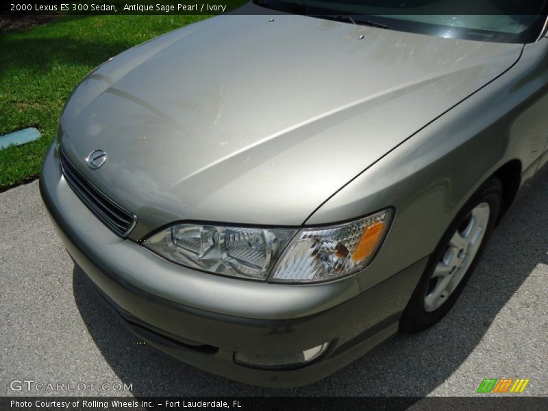 Antique Sage Pearl / Ivory 2000 Lexus ES 300 Sedan