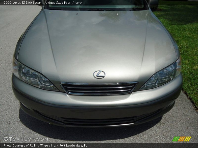 Antique Sage Pearl / Ivory 2000 Lexus ES 300 Sedan