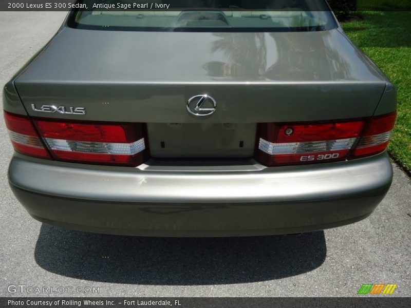 Antique Sage Pearl / Ivory 2000 Lexus ES 300 Sedan