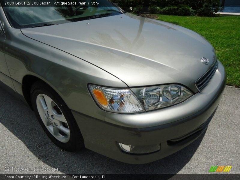 Antique Sage Pearl / Ivory 2000 Lexus ES 300 Sedan