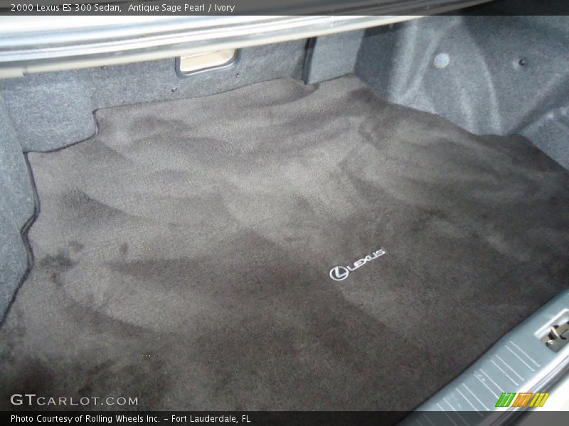 Antique Sage Pearl / Ivory 2000 Lexus ES 300 Sedan