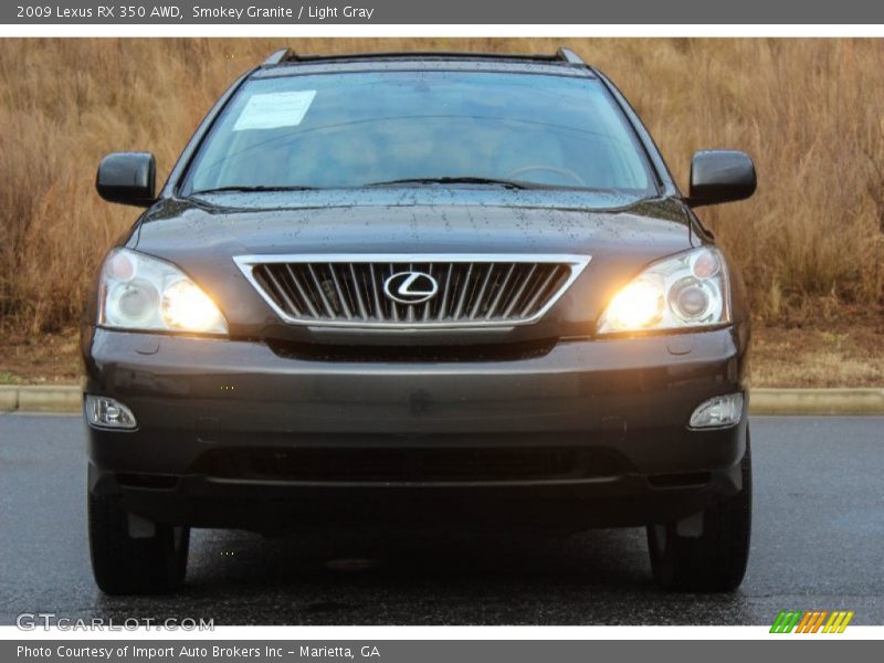 Smokey Granite / Light Gray 2009 Lexus RX 350 AWD