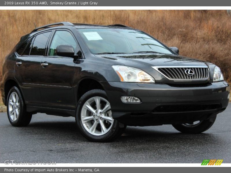 Smokey Granite / Light Gray 2009 Lexus RX 350 AWD