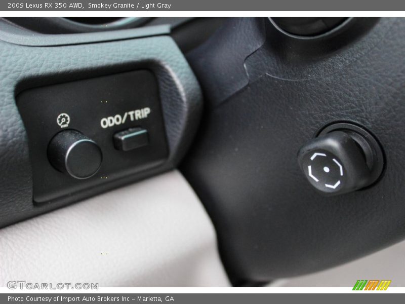 Smokey Granite / Light Gray 2009 Lexus RX 350 AWD