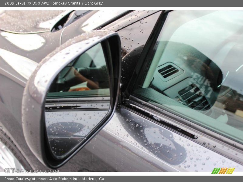 Smokey Granite / Light Gray 2009 Lexus RX 350 AWD