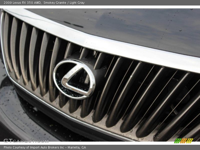 Smokey Granite / Light Gray 2009 Lexus RX 350 AWD