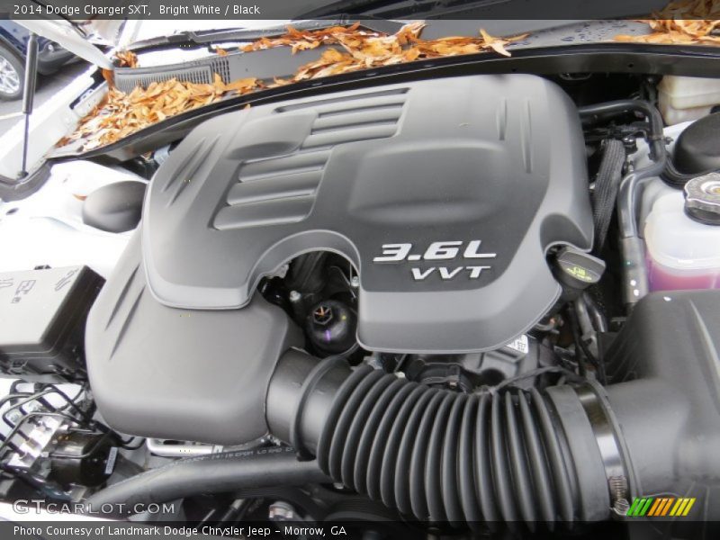 Bright White / Black 2014 Dodge Charger SXT