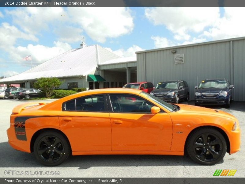 Header Orange / Black 2014 Dodge Charger R/T