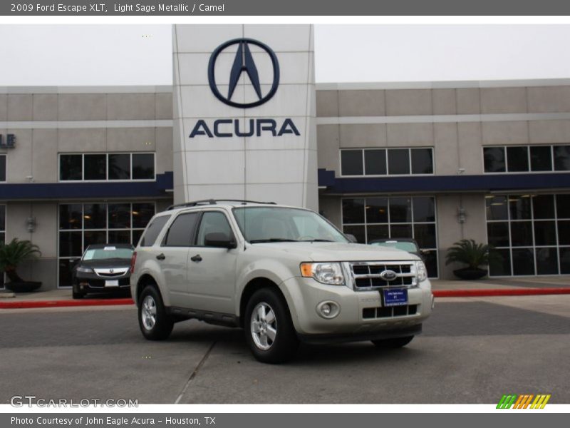 Light Sage Metallic / Camel 2009 Ford Escape XLT