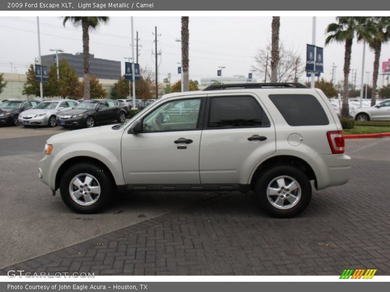 Light Sage Metallic / Camel 2009 Ford Escape XLT