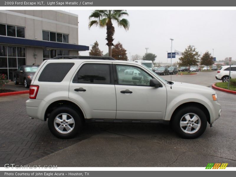 Light Sage Metallic / Camel 2009 Ford Escape XLT