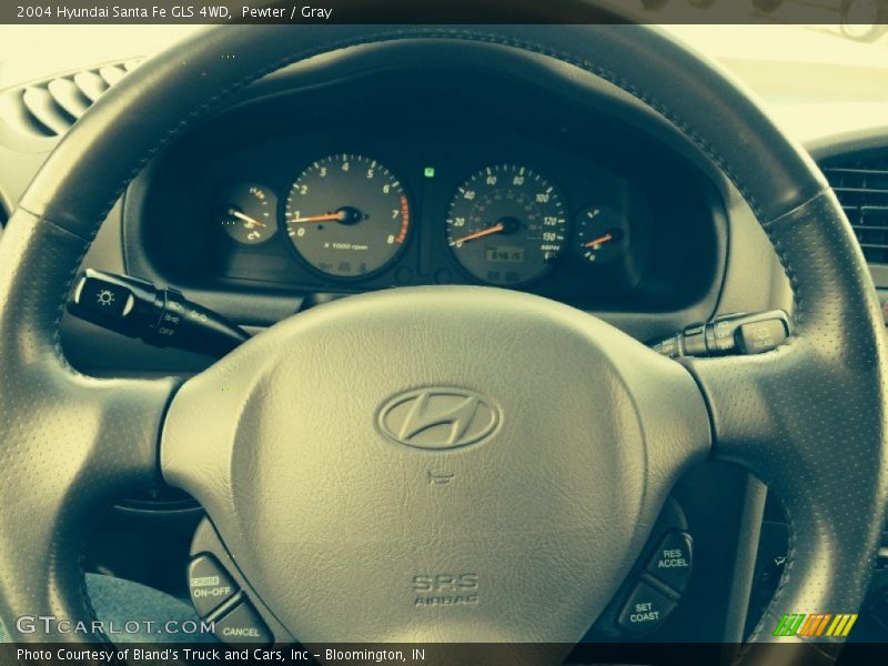 Pewter / Gray 2004 Hyundai Santa Fe GLS 4WD
