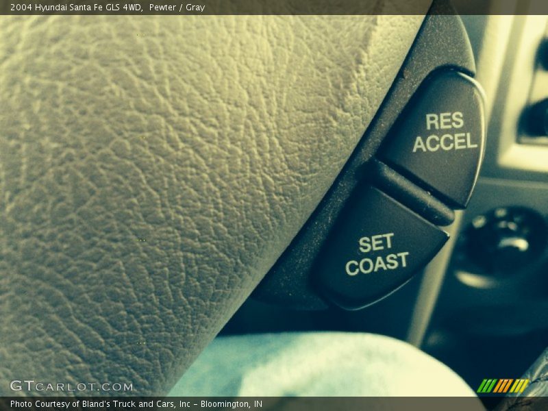 Pewter / Gray 2004 Hyundai Santa Fe GLS 4WD