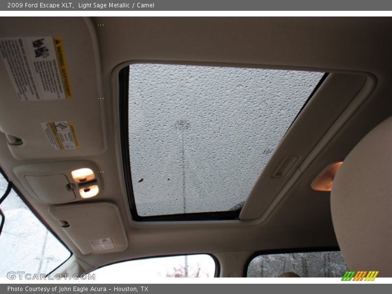 Light Sage Metallic / Camel 2009 Ford Escape XLT