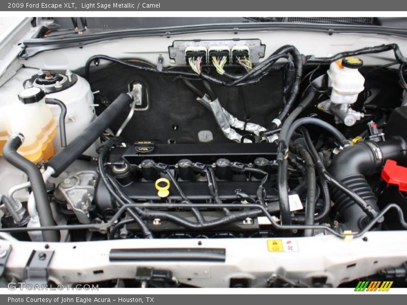 Light Sage Metallic / Camel 2009 Ford Escape XLT