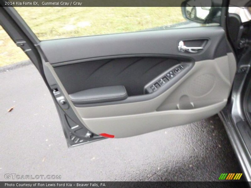 Gunmetal Gray / Gray 2014 Kia Forte EX