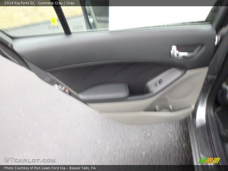 Gunmetal Gray / Gray 2014 Kia Forte EX