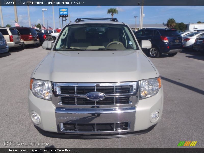 Light Sage Metallic / Stone 2009 Ford Escape Limited