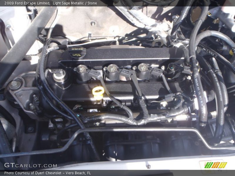 Light Sage Metallic / Stone 2009 Ford Escape Limited