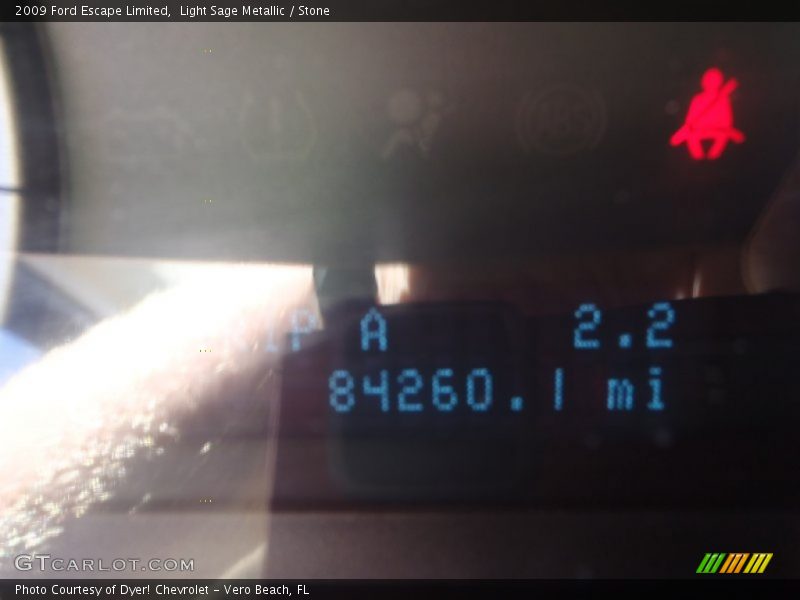 Light Sage Metallic / Stone 2009 Ford Escape Limited