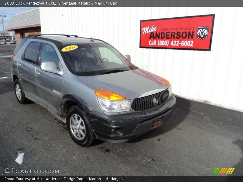 Silver Leaf Metallic / Medium Oak 2003 Buick Rendezvous CXL