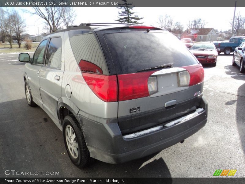 Silver Leaf Metallic / Medium Oak 2003 Buick Rendezvous CXL