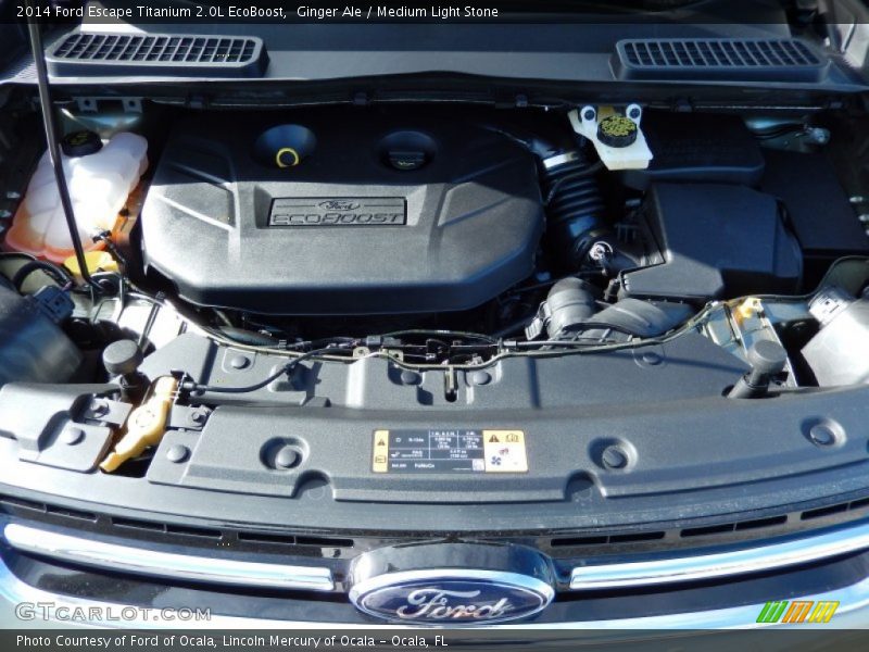 Ginger Ale / Medium Light Stone 2014 Ford Escape Titanium 2.0L EcoBoost
