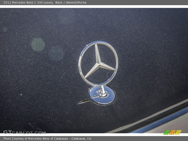 Black / Almond/Mocha 2011 Mercedes-Benz C 300 Luxury