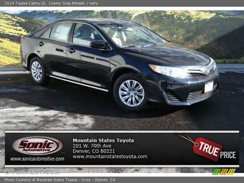 Cosmic Gray Metallic / Ivory 2014 Toyota Camry LE