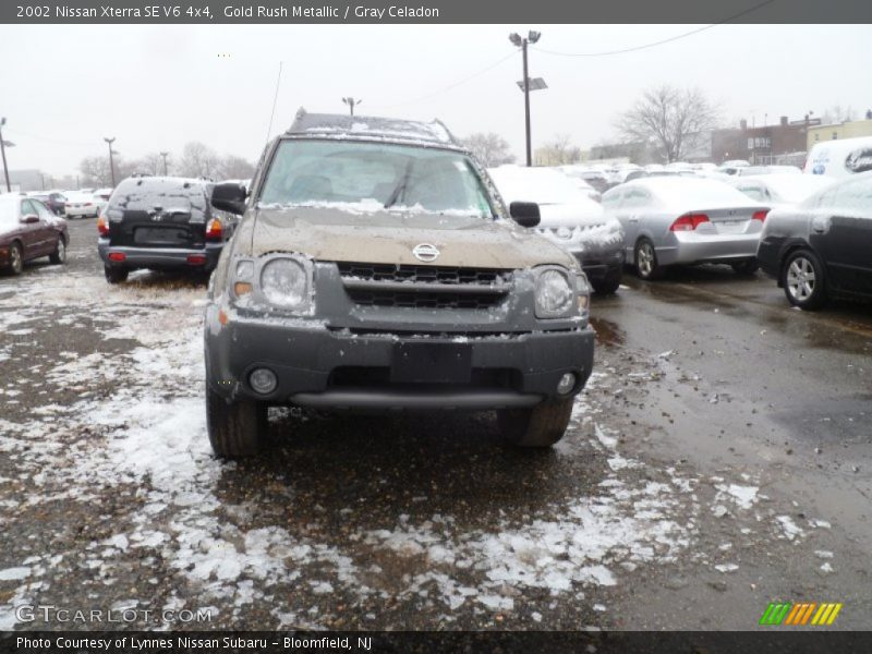 Gold Rush Metallic / Gray Celadon 2002 Nissan Xterra SE V6 4x4