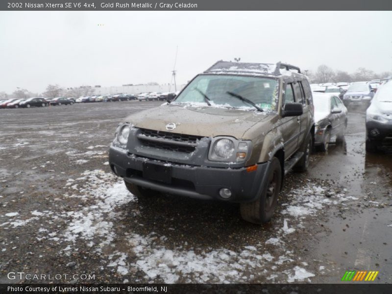 Gold Rush Metallic / Gray Celadon 2002 Nissan Xterra SE V6 4x4